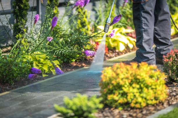 Best Parking Lot Cleaning in Rockwell, AR